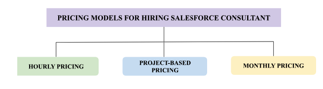 Different pricing models for hiring a B2B Salesforce consultant