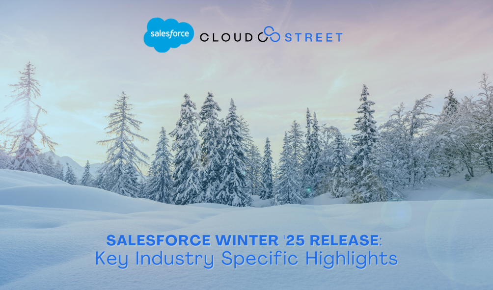 Salesforce Winter '25 Release: Key Industry-Specific Highlights