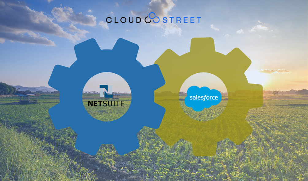 Transforming B2B Sales: A Case Study on Salesforce Commerce Cloud and NetSuite ERP Integration